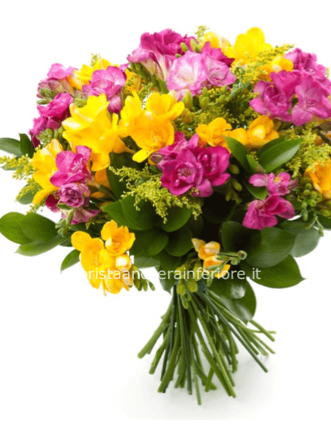 Bouquet di fresie assortite.