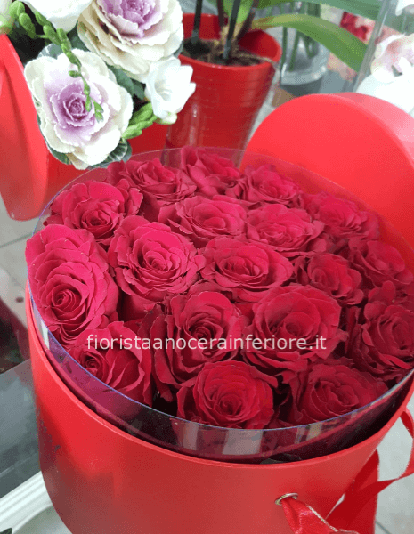 20 rose rossse box