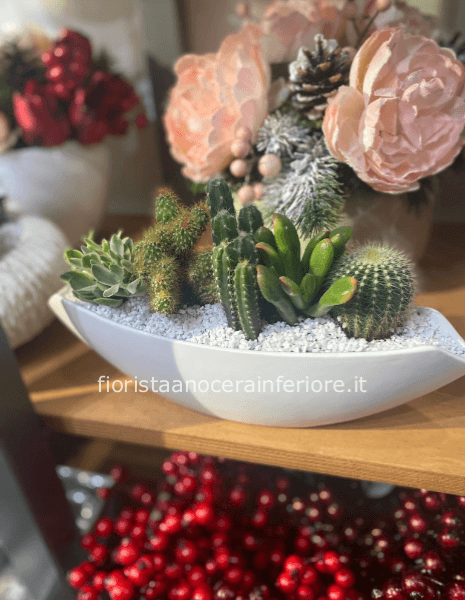 composizione di piante grasse in ceramica