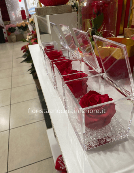 rosa stabilizzata (la rosa eterna)