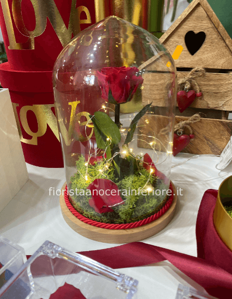 rosa stabilizzata (la rosa eterna)