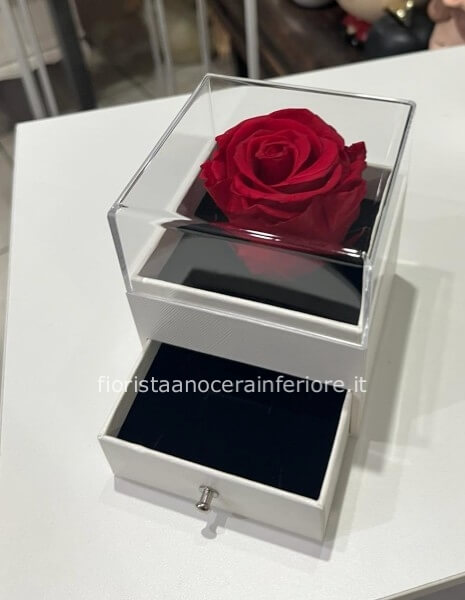 rosa stabilizzata (la rosa eterna)