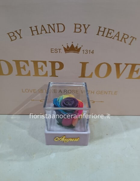 rosa stabilizzata (la rosa eterna)