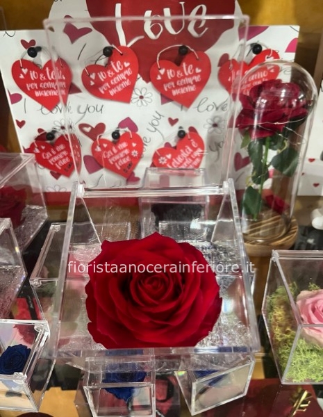 rosa stabilizzata in cofanetto trasparente