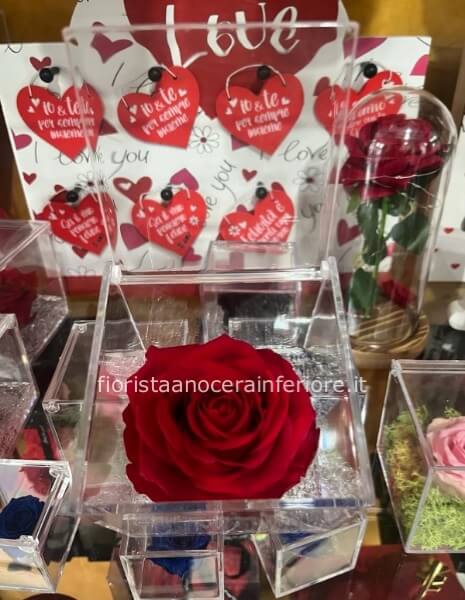 rosa stabilizzata (la rosa eterna)