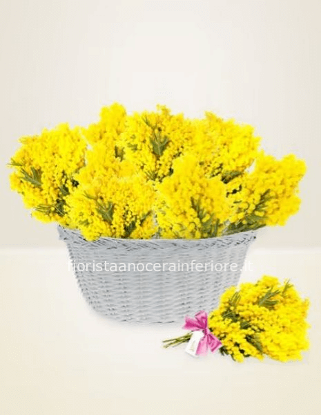 Cesto di mimose