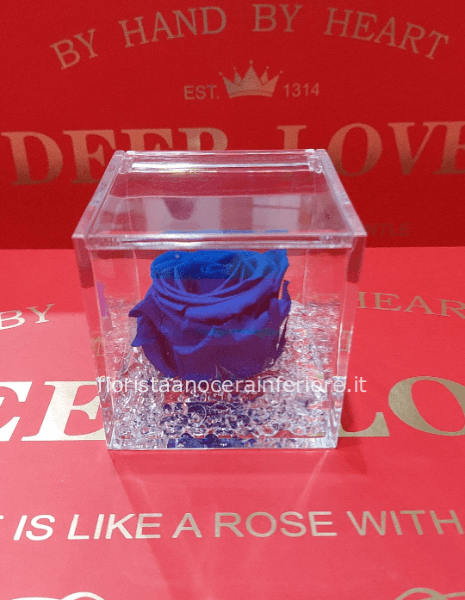 rosa stabilizzata blu 