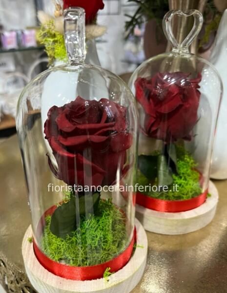 rosa stabilizzata in teca di vetro