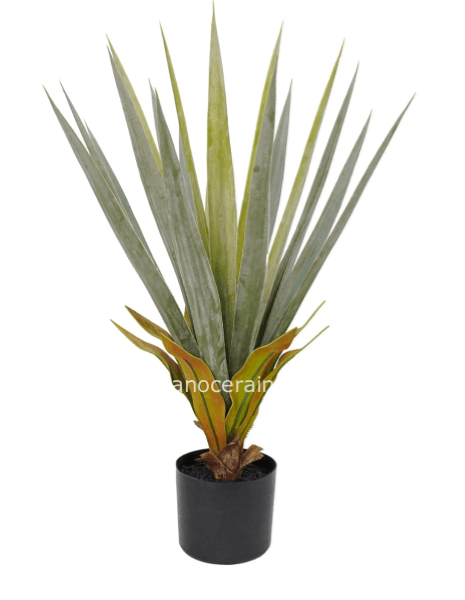 Agave Sisal artificiale
