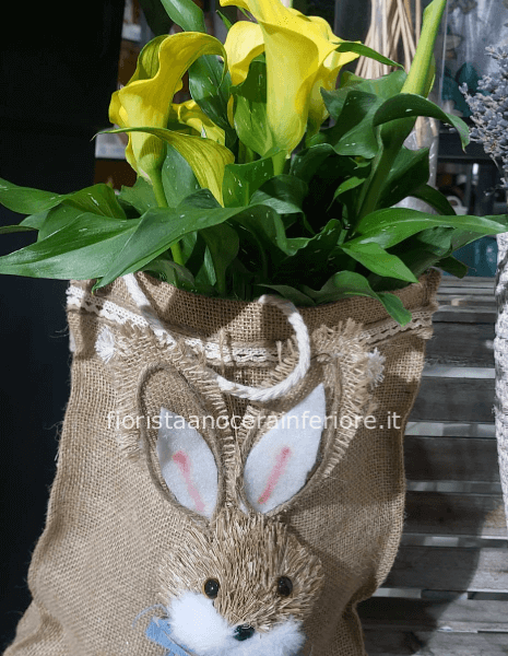 "Fioritura Pasquale: Calle nel Cuore della Primavera"