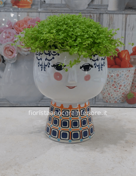 Visage Verde, Pianta grassa con vaso a forma di Volto  