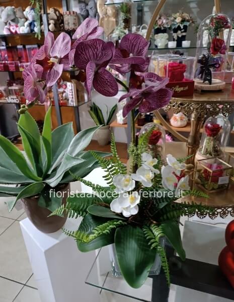 Orchidea Elegance – Bellezza Eterna senza Manutenzione