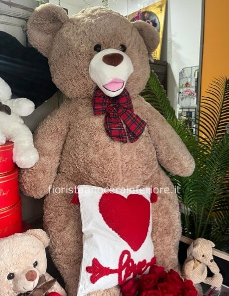 teddy bear maxi