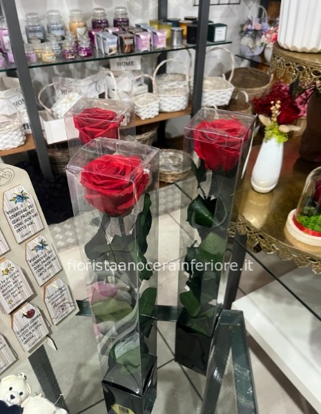 rose stabilizzate eterne