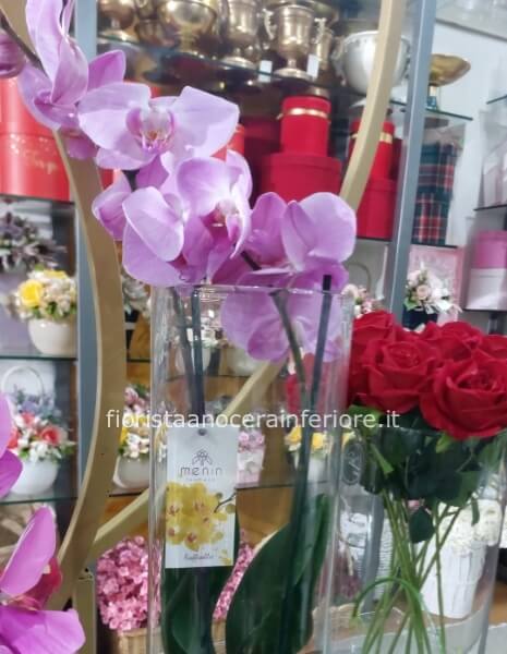 Orchidea in vado di vetro circolare