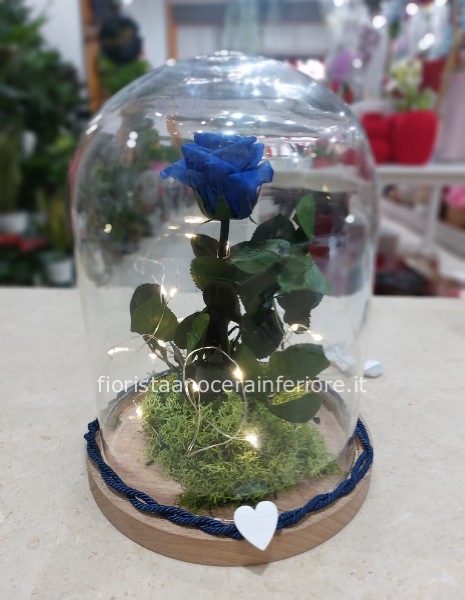 Campana di Rosa Stabilizzata Blu