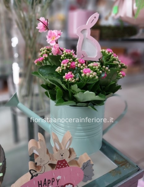 Annaffiatoio Vintage con Kalanchoe e Decori Pasquali
